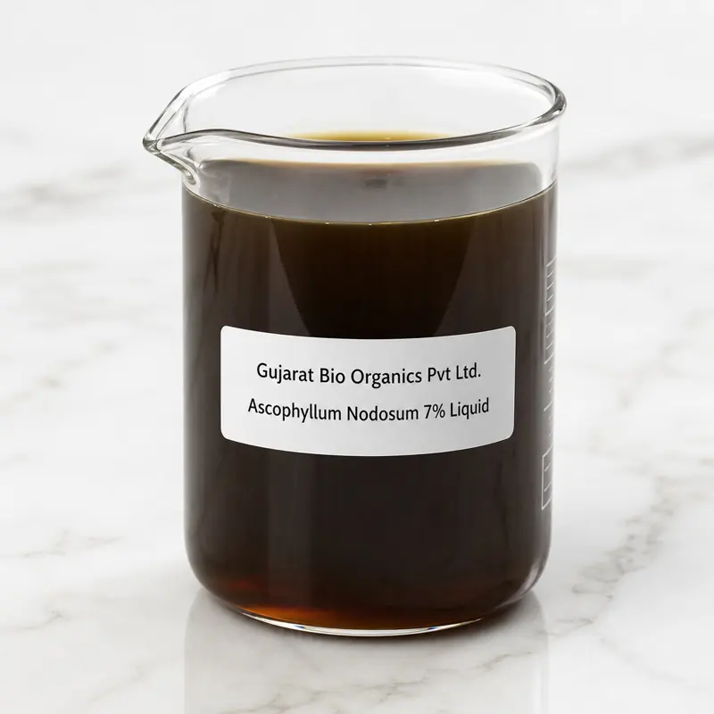 Ascophyllum nodosum 7% liquid